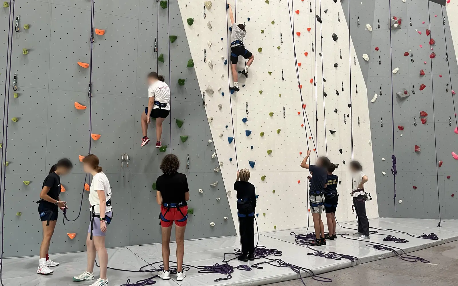 Séance d'escalade en club sur un mur à cordes : jeunes grimpeurs en moulinette et assureurs au pied du mur